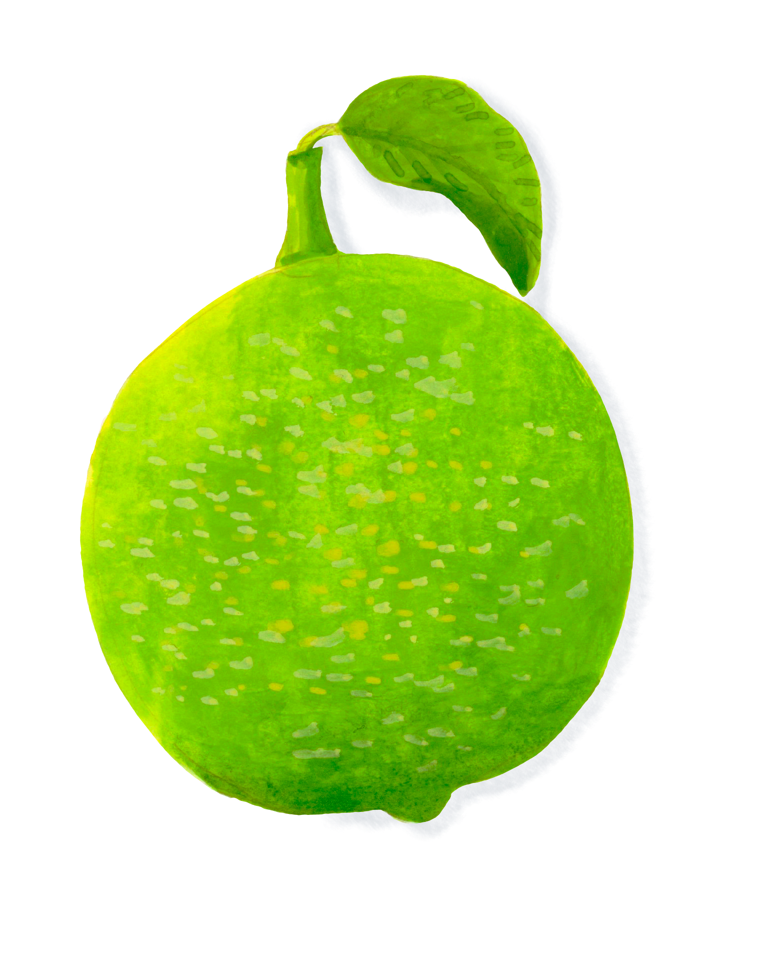 ライム