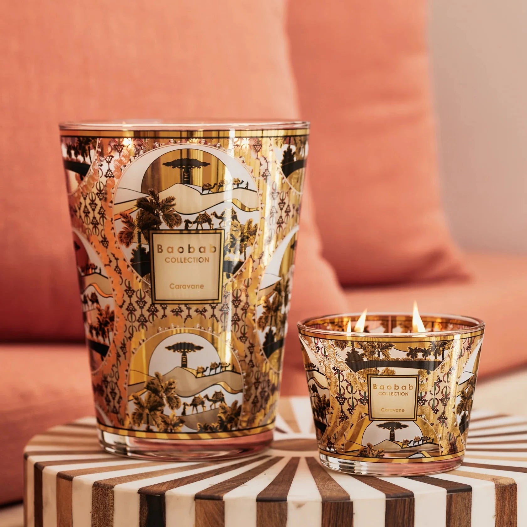 Baobab Collection バオバブ コレクションキャンドル バオバブ Baobab Collection バオバブ コレクションキャンドル バオバブ