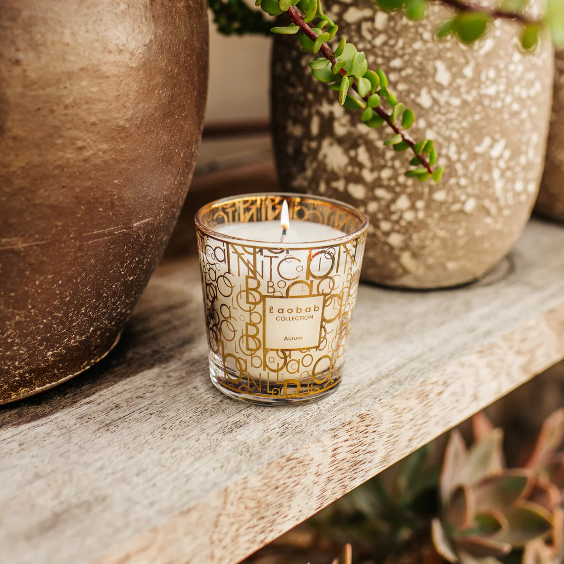 SCENTED CANDLE MY FIRST BAOBAB AURUM